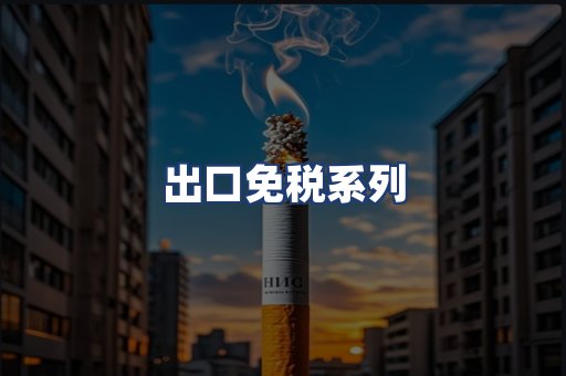 出口免税系列
